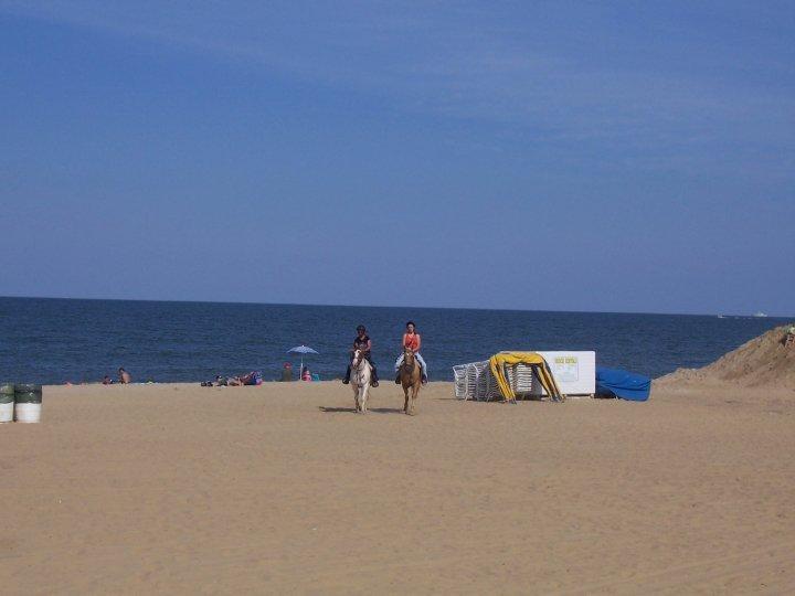Hyatt House Virginia Beach / Oceanfront Exteriör bild